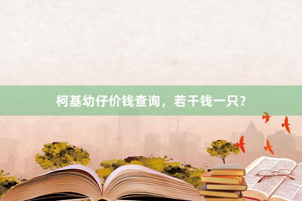 柯基幼仔价钱查询，若干钱一只？